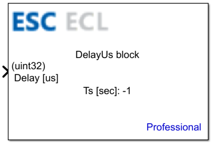 DelayUs block