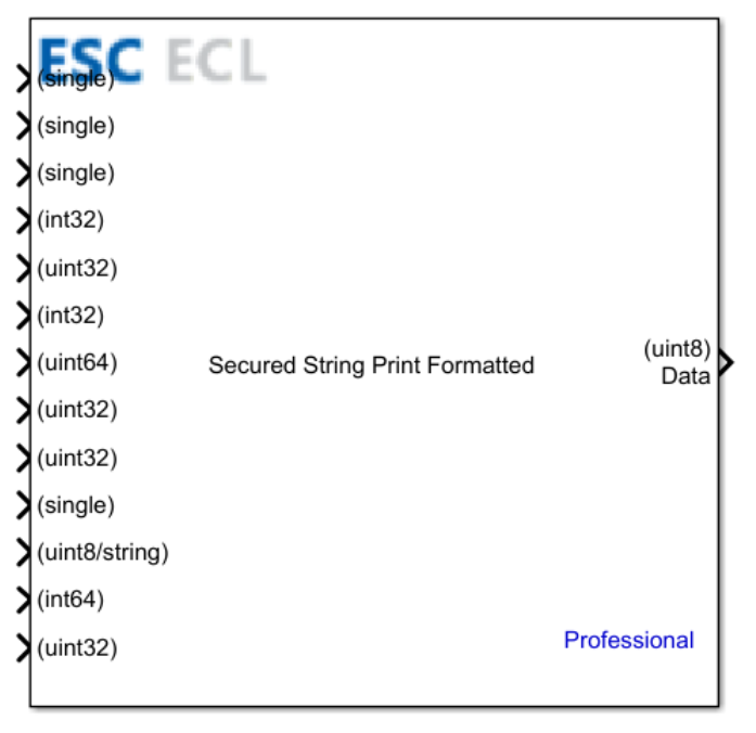 Secured String Print Formatted block